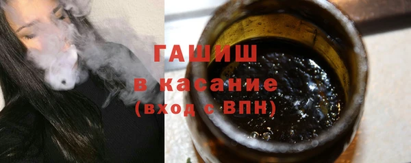 индика Елабуга