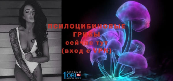 не бодяженный Ельня