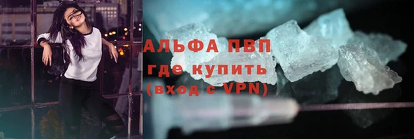 индика Елабуга