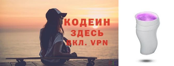 Альфа ПВП Елизово