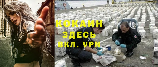 Альфа ПВП Елизово