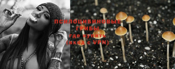 индика Елабуга